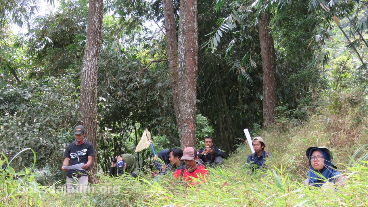 Hari Ketiga Summer Camp, Jumpai Elang Jawa - Thumbnail 1