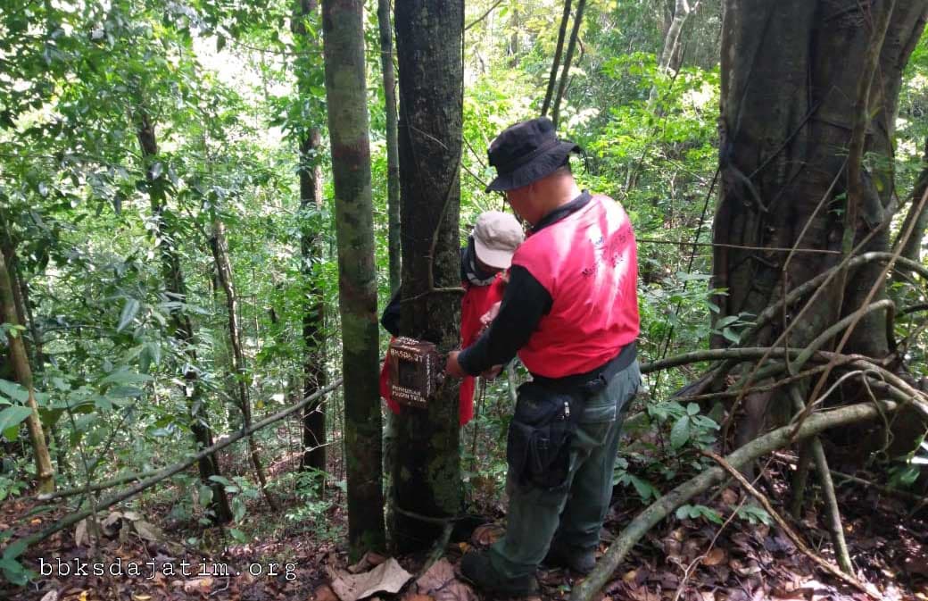 Smart Patrol Di Cagar Alam Pulau Sempu
