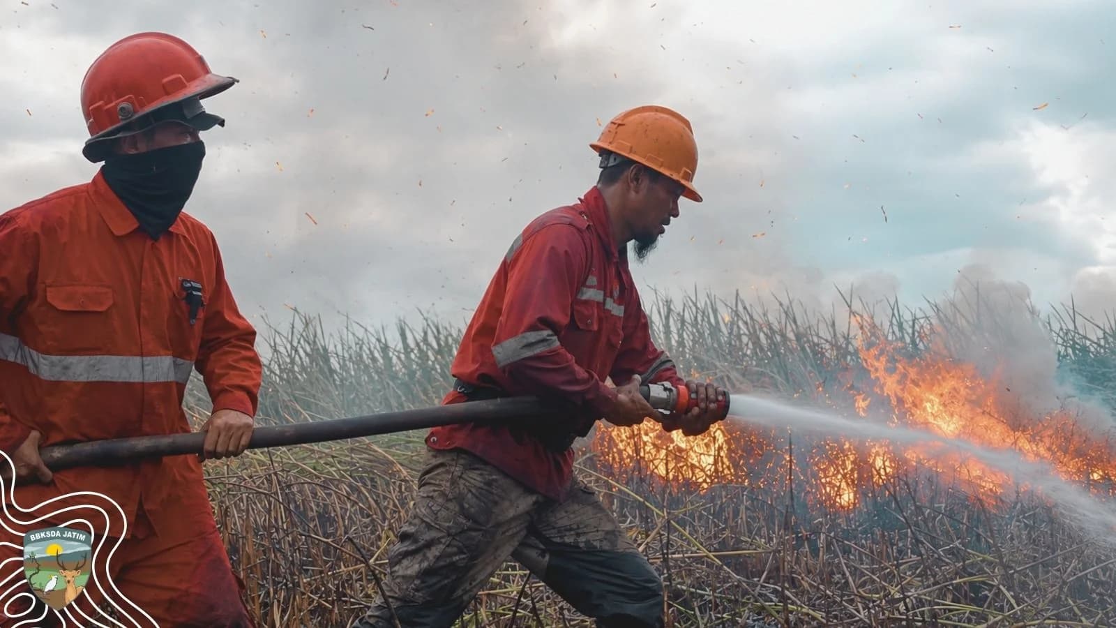 Tak Menunggu Hutan Membara, Manggala Agni Ada di Antara Kita