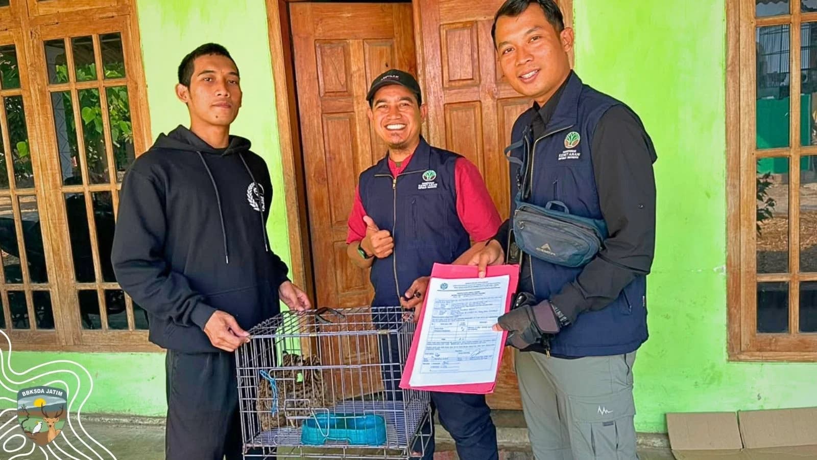Terusir Api, Dua Kucing Kuwuk Menemukan Jalan Pulang