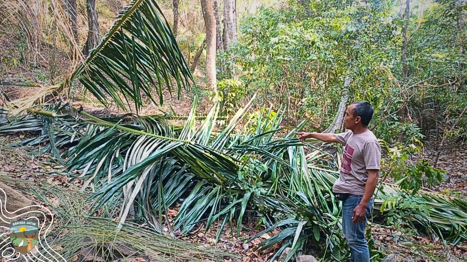 Penemuan Penebangan Pohon di Bawean, Smart Patrol Perkuat Kolaborasi