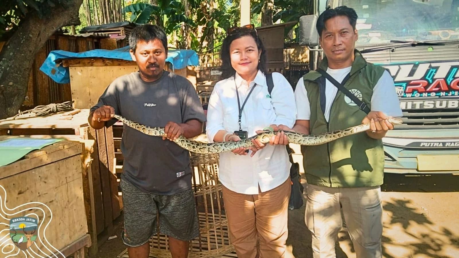 Di Ketapang, Sanca Bodo Menemukan Manusia yang Memilih Peduli