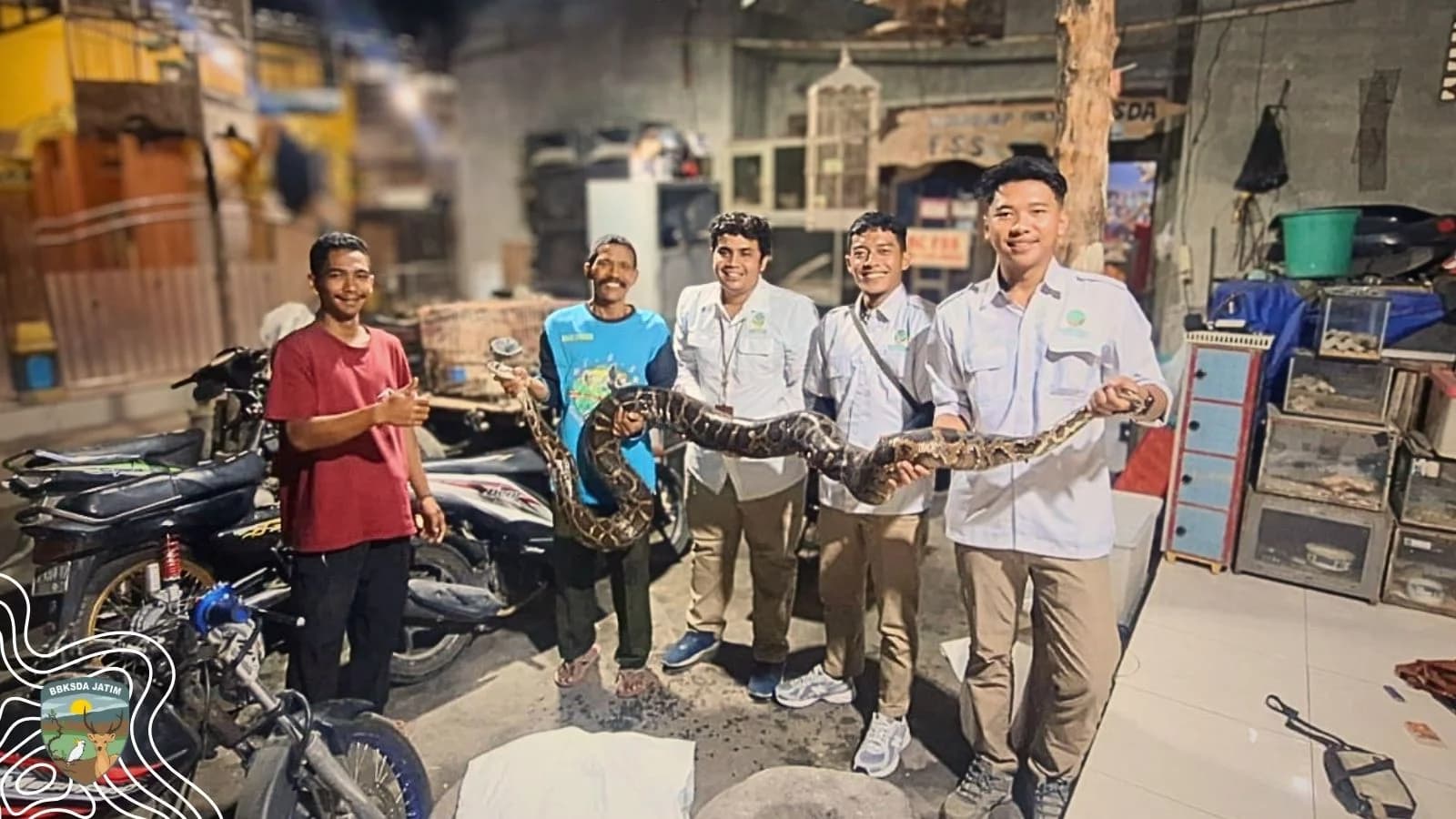 Empat Ular Diserahkan, Kepercayaan Masyarakat kepada Konservasi Terus Tumbuh