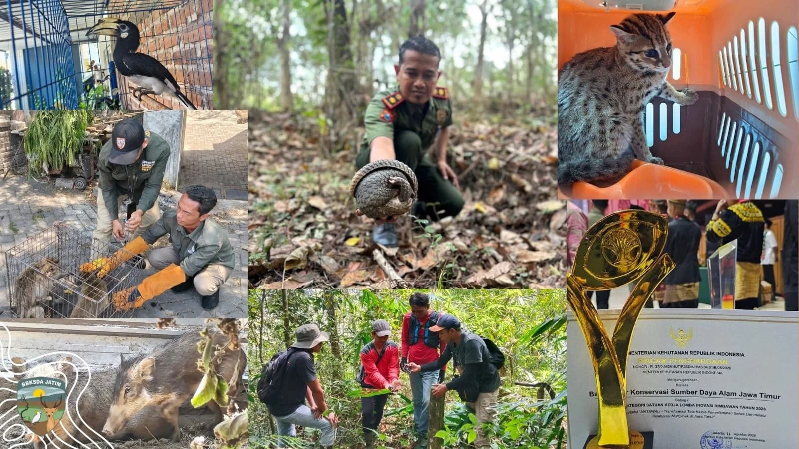 Agustus dari Rimba Jawa Timur: Tentang Satwa, Manusia, dan Jalan Pulang