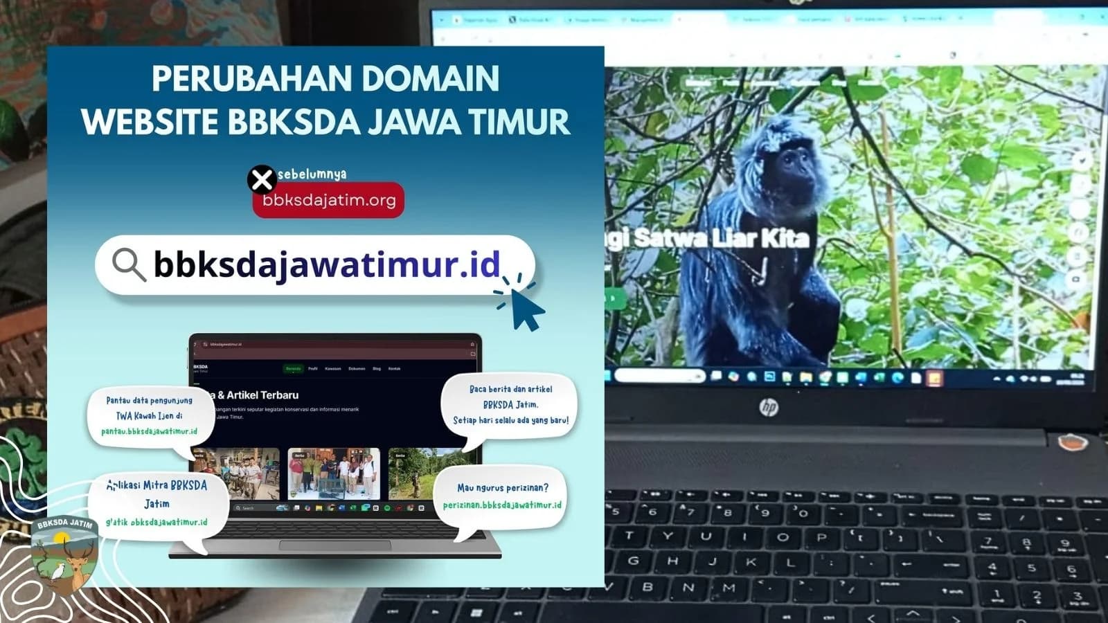 Alamat Baru, Semangat yang Sama, BBKSDA Jawa Timur Perkuat Layanan Digital Konservasi