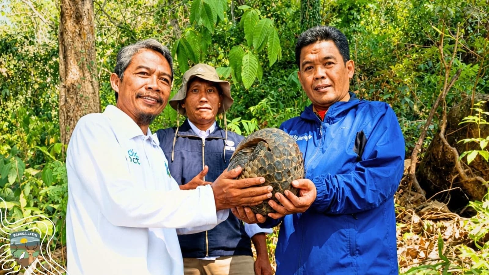 Masuki Rumah Warga, Satwa Ini Akhirnya Dilepasliarkan
