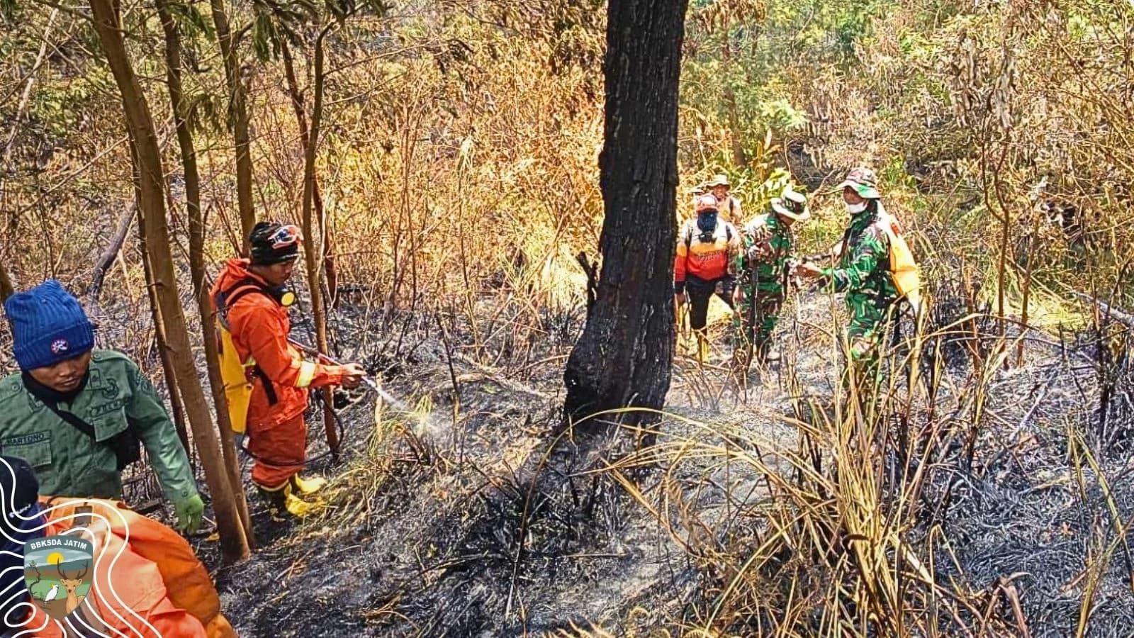 Medan Api Belum Usai, Pertahanan Ijen Bergeser ke Kalipait