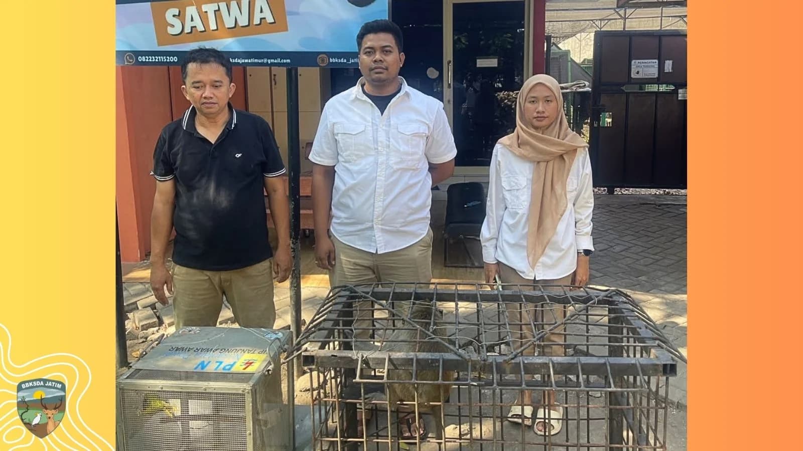 Dari Bojonegoro dan Tuban, Dua Satwa Menempuh Jalan Menuju Pemulihan