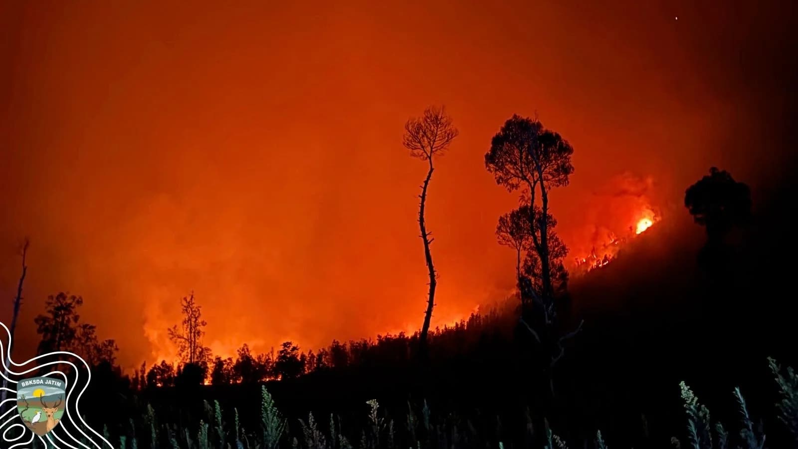 Perjuangan Belum Usai, Api Ijen Masih Menyala