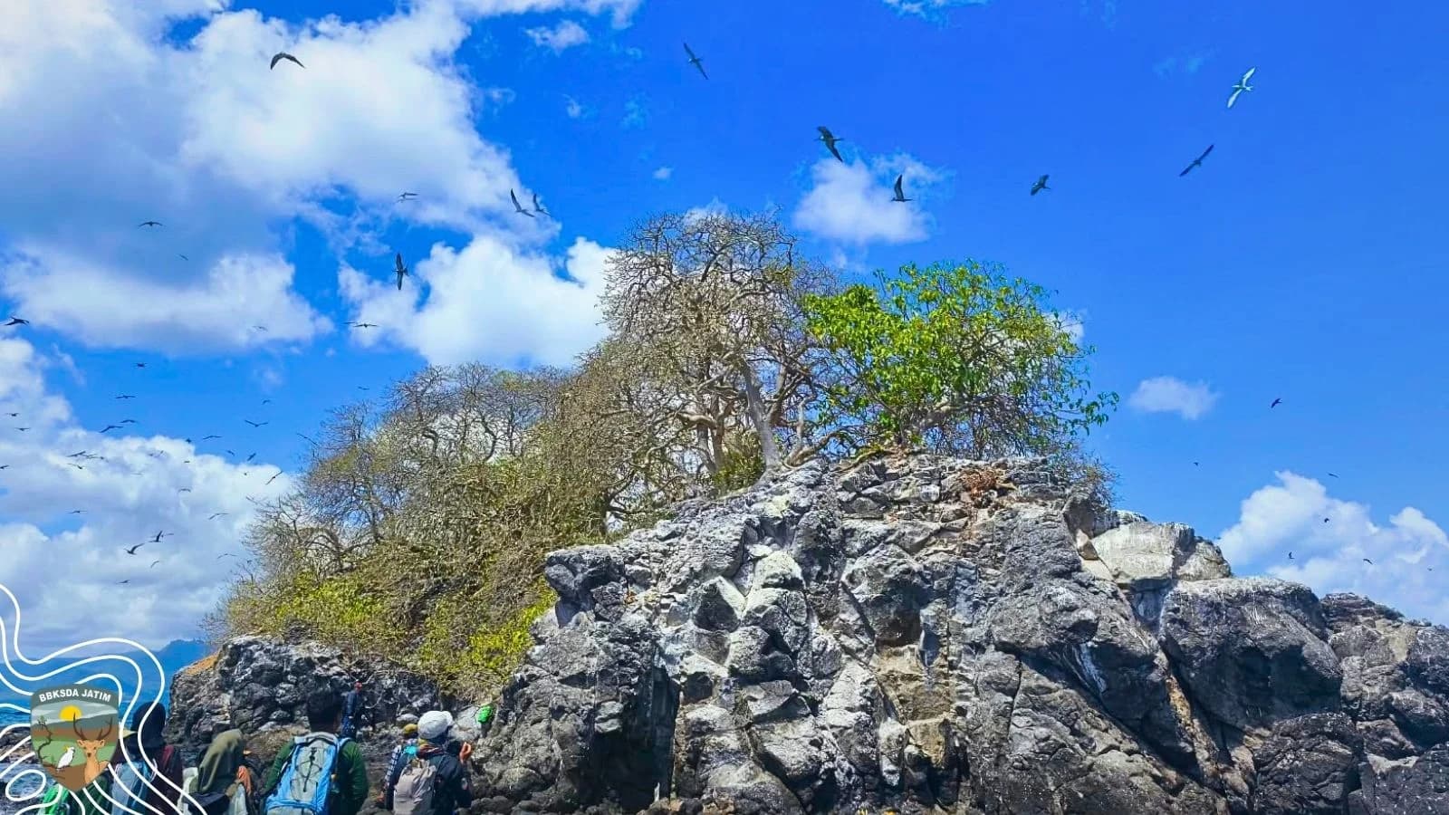 Keadilan Sebuah Cagar Alam Tumbuh di Bawah Teduh Wijayakusuma Kraton