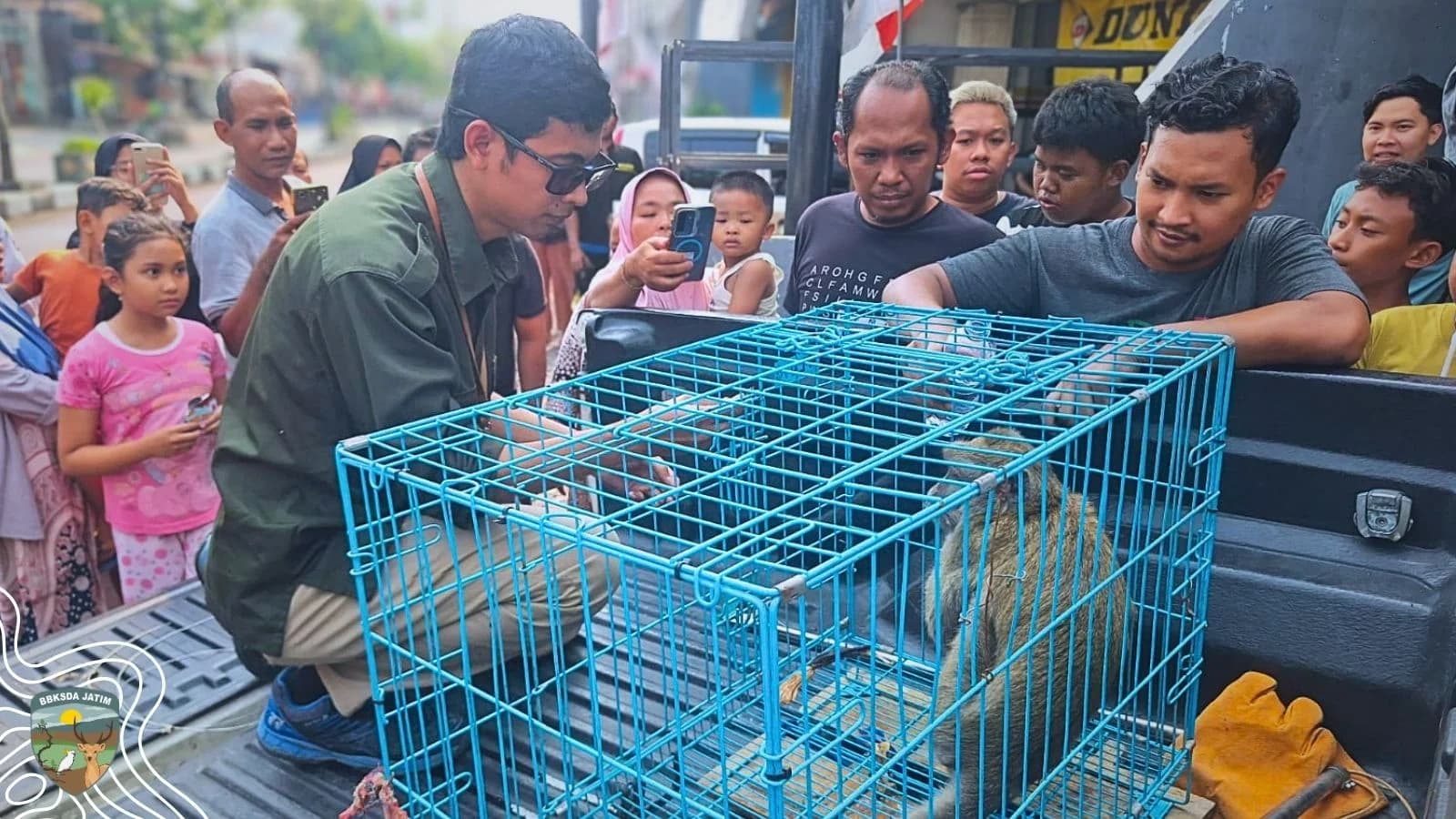 Tamu Tak Diundang, Damkarla dan Matawali Menjawab Konflik di Batas Ruang Hidup