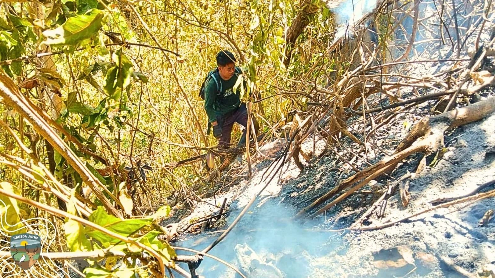 Api Padam di Teneden, Dua Hektare Suaka Margasatwa Bawean Menyisakan Jejak