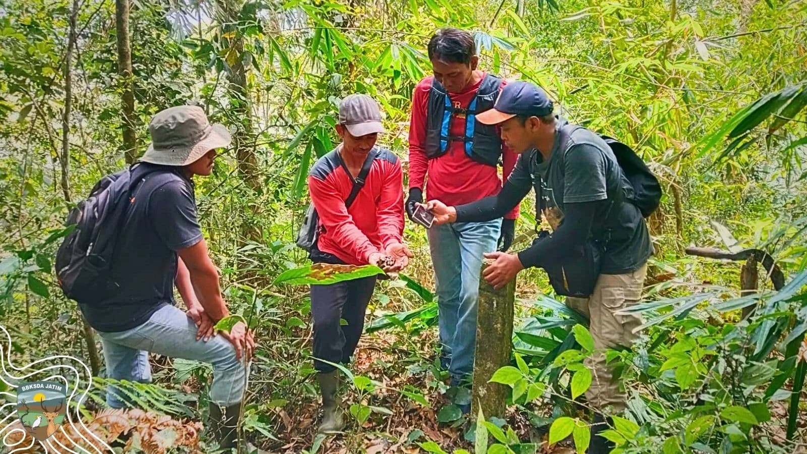 Sebelum Api Menyentuh Sigogor, Para Penjaga Hutan Sudah Beraksi