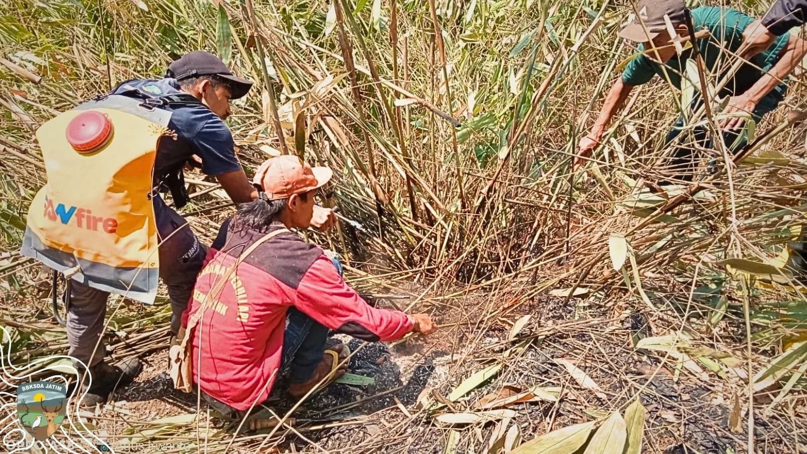 Api Padam, Gunung Abang Belum Tenang