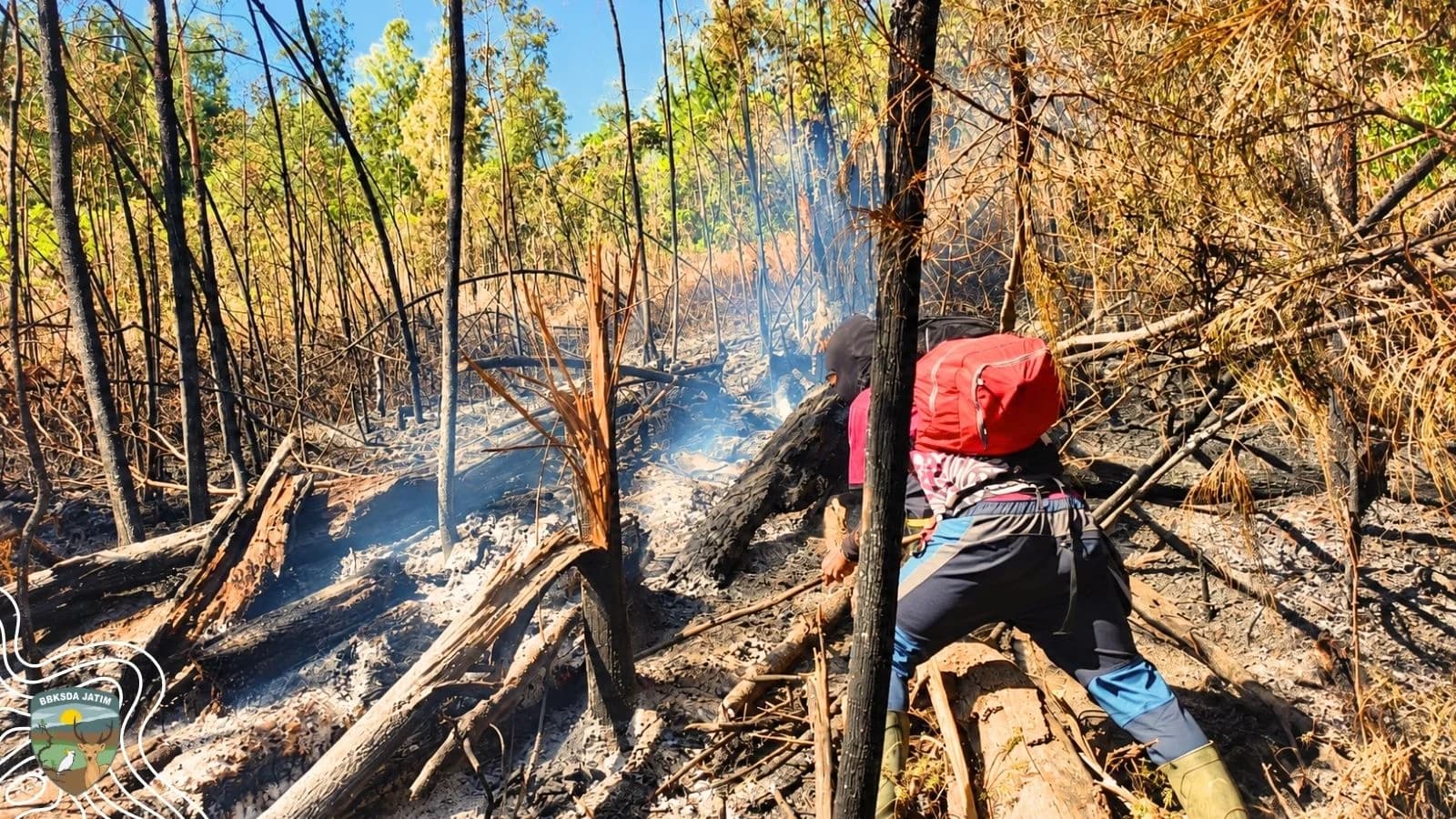 Api Tak Terlihat, Bara Argopuro Belum Benar-Benar Mati