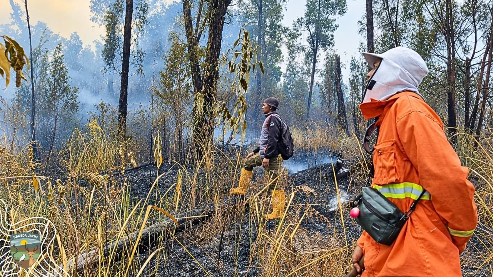 Api Kembali Terlihat di Kawah Ijen, Pagi Hari Dipastikan Padam