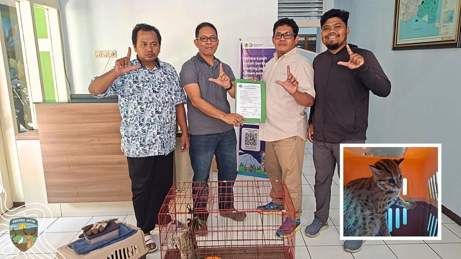 Ditemukan Saat Panen, Kucing Kuwuk Kini Menunggu Jalan Pulang