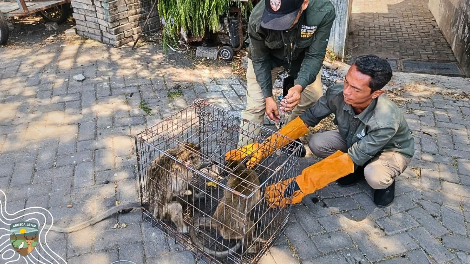 Bocil dan Rusty, Teman Ngobrol yang Harus Diikhlaskan
