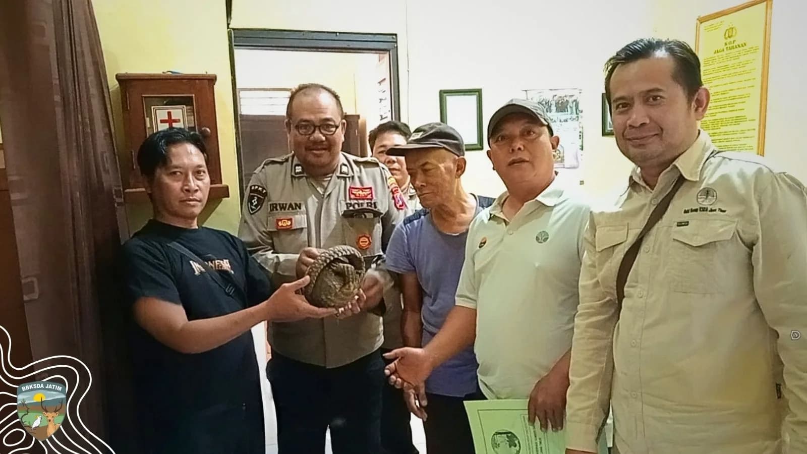 Tim Matawali Banyuwangi Evakuasi dan Lepasliarkan Trenggiling