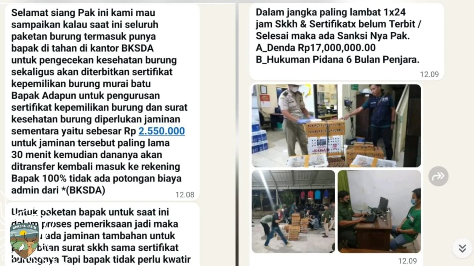 Empat Jalak Tak Datang, Nama BKSDA Malah Dicatut