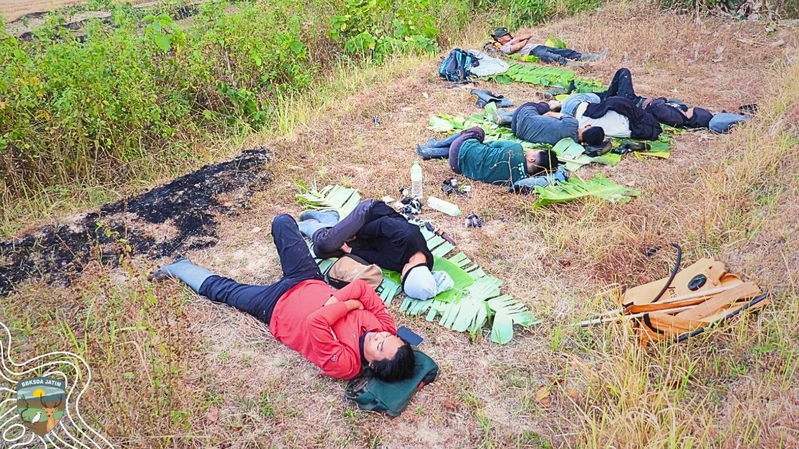 Kasur Ijo di Tengah Bara