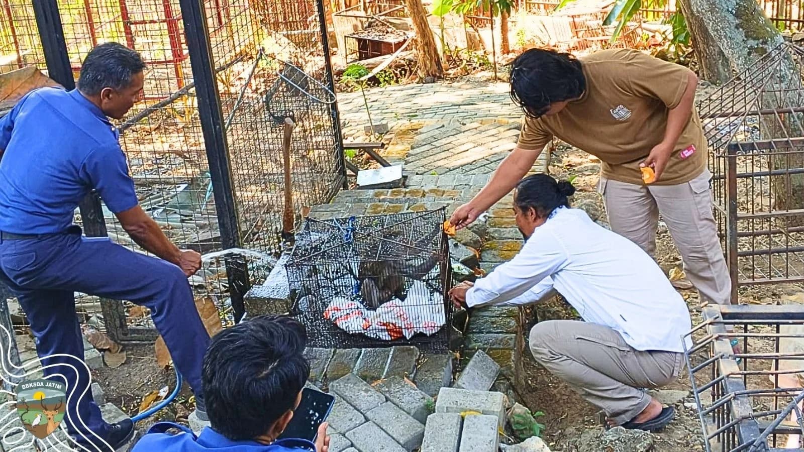 Dua Satwa, Dua Cerita dari Bojonegoro