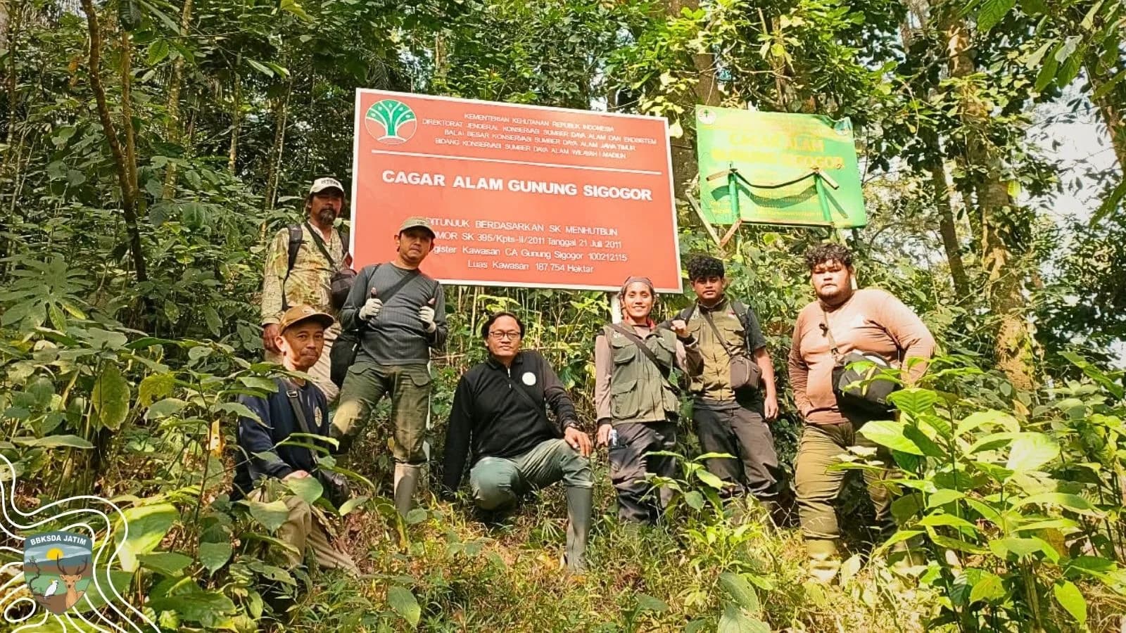 Cagar Alam Gunung Sigogor Dipersiapkan Sebagai Tempat Pelepasliaran Lutung Jawa