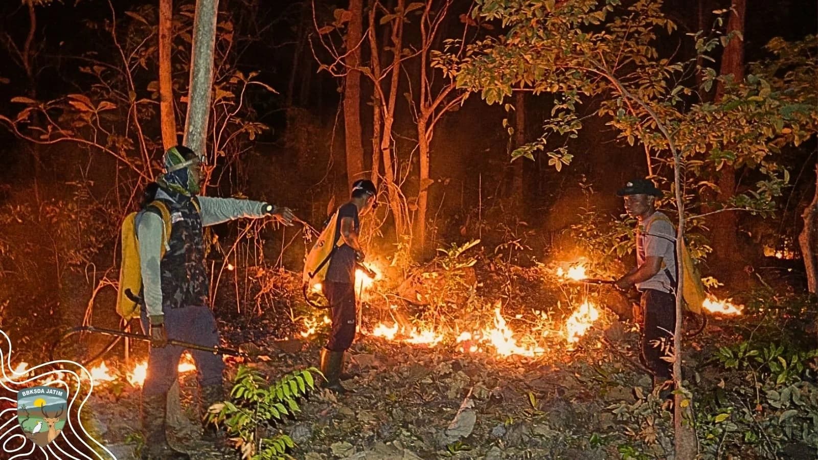 Kebakaran Hutan Bawean di Malam Hari, BBKSDA Jatim Telusuri Penyebabnya