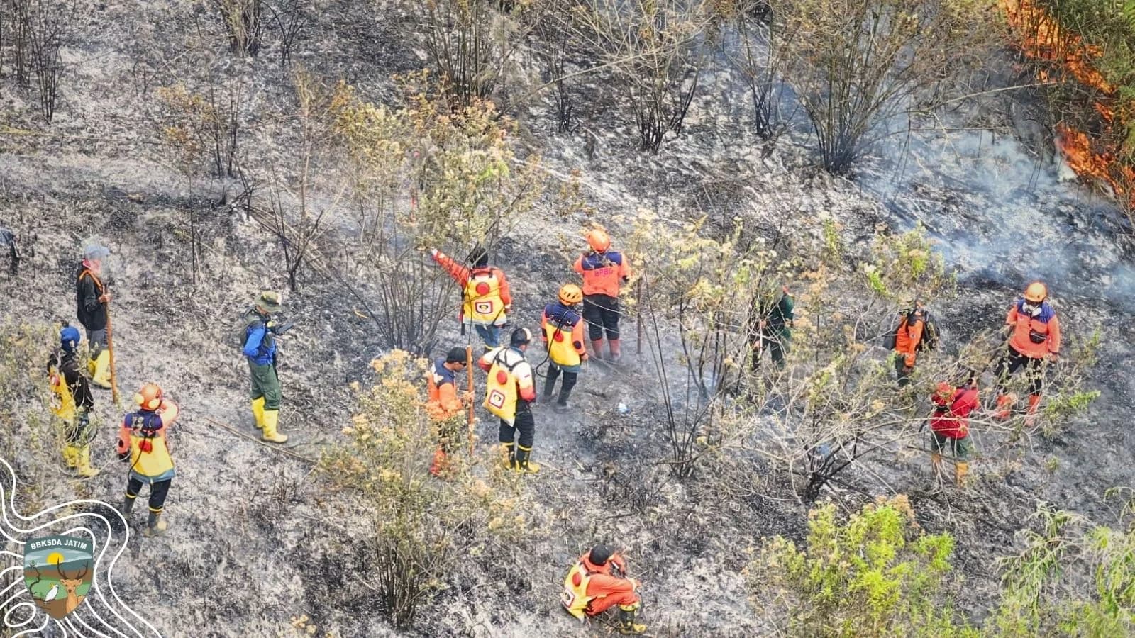 Satu Punggungan Kawah Ijen Terkendali, Barisan Manggala Agni Terus Bertambah