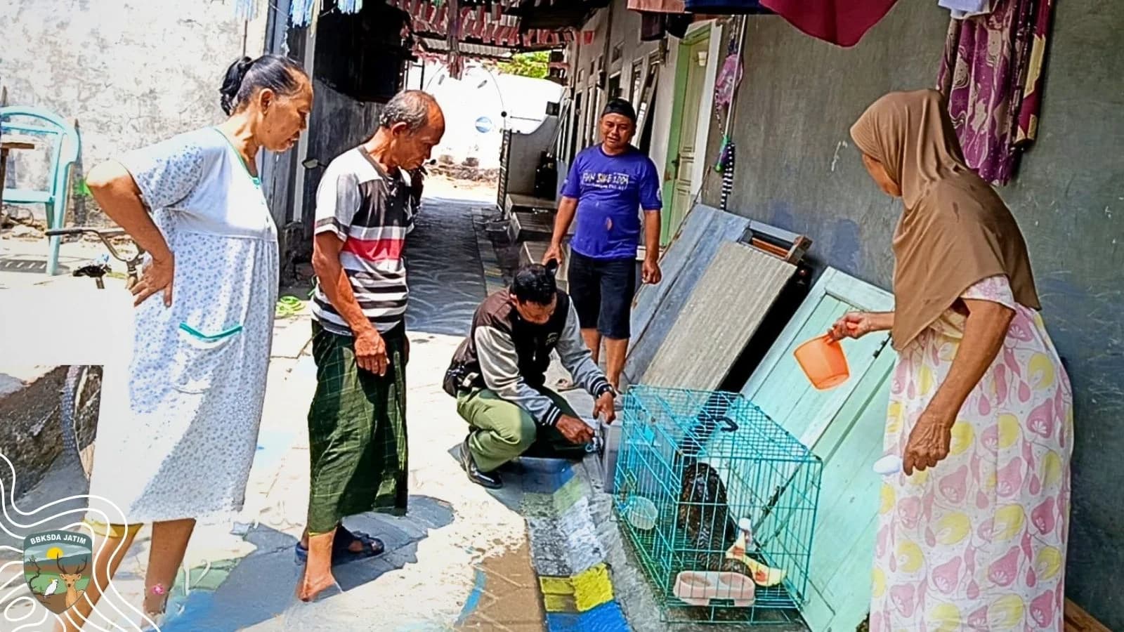 Tersesat di Kebun, Trenggiling Diselamatkan Warga