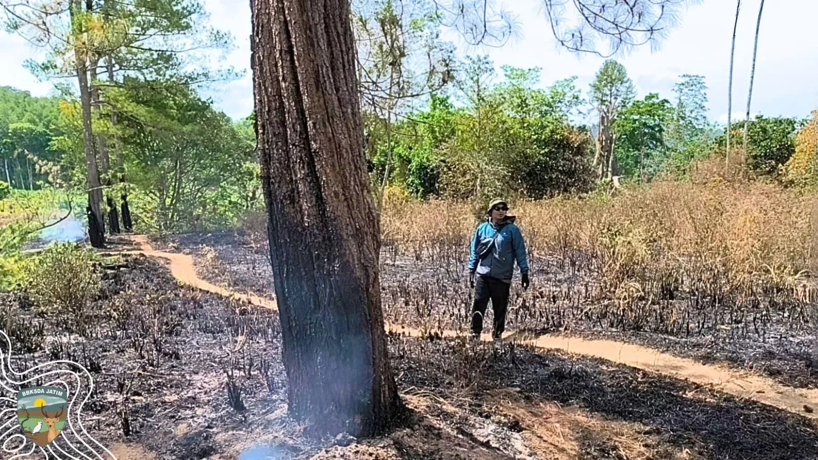 Sungai Kering, Warga Angkut Air dari Sumur Padamkan Api di Curah Manis