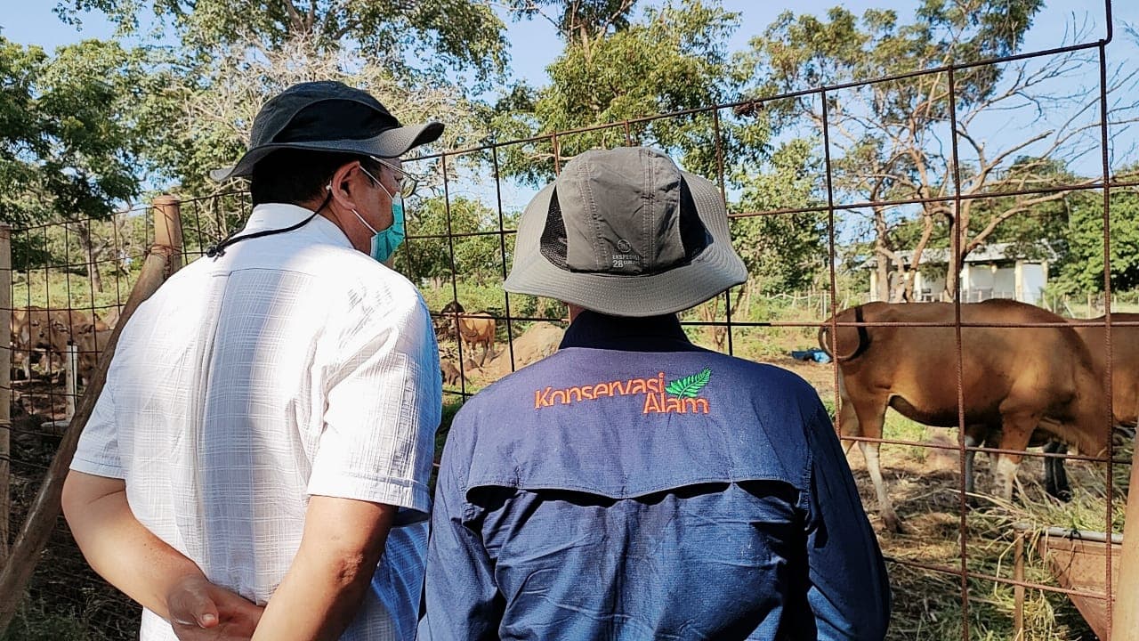 Komisi IV DPR RI Bersama Dirjen KSDAE Melepasliarkan Satwa di Taman Nasional Baluran - Thumbnail 4