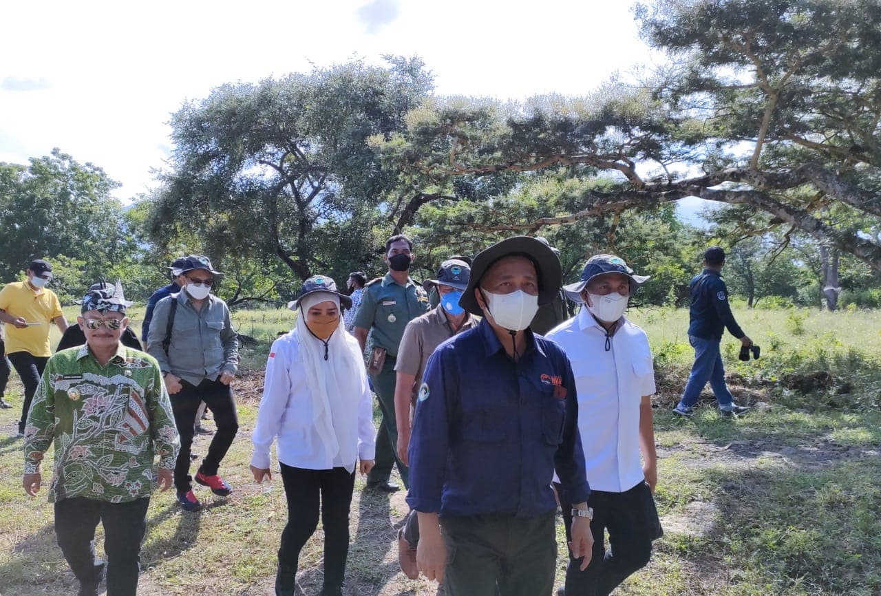 Komisi IV DPR RI Bersama Dirjen KSDAE Melepasliarkan Satwa di Taman Nasional Baluran - Thumbnail 1