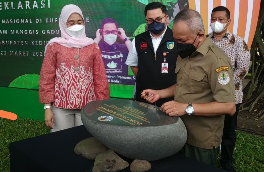 Telah Resmi, Kabupaten Kediri Ditetapkan Sebagai Pusat Ficus Nasional Pertama di Indonesia - Thumbnail 1