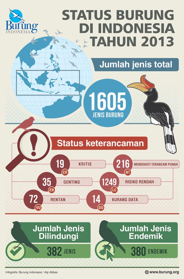 Tujuh Jenis Ditemukan, Jenis Burung di Indonesia Bertambah